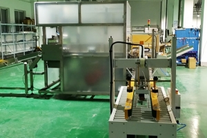 自動裝箱機(jī)