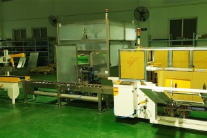 自動裝箱機(jī)